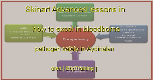 Skinart Advanced lessons in how to excel in bloodborne pathogen safety in Aydinalan area | BbpTraining | BbpClasses | SkinartTraining-Turkey
